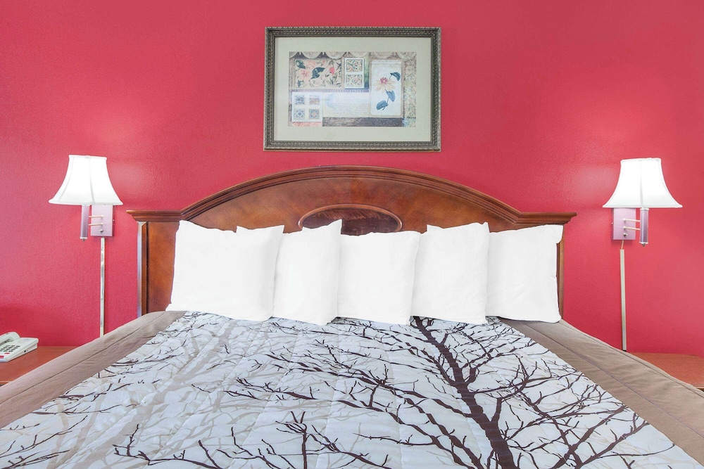 Room, 1 King Bed, Non Smoking - Photo 1