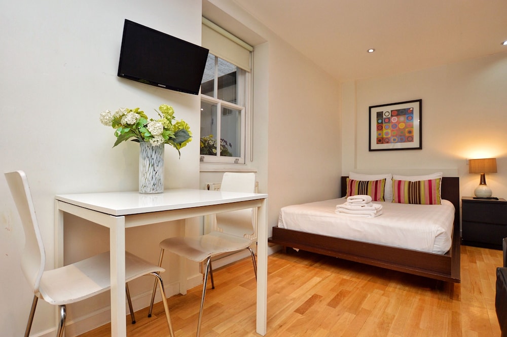 Deluxe Lower Ground Floor Studio photo 3