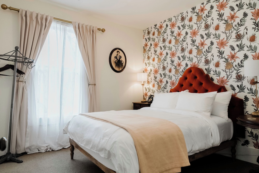 Suite, 1 Queen Bed