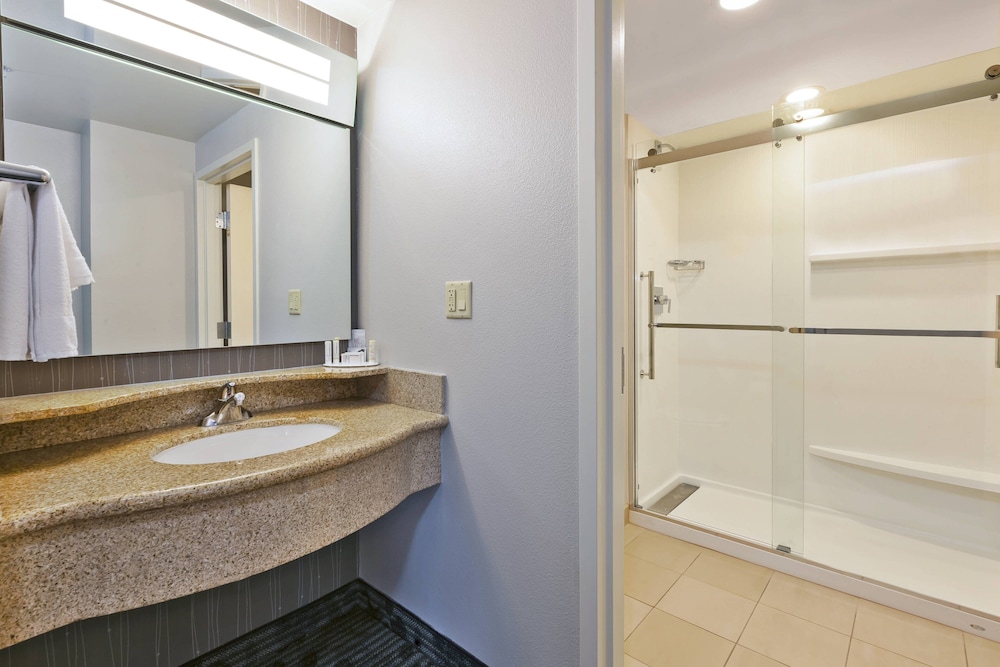 Suite, 1 Bedroom - Photo 5