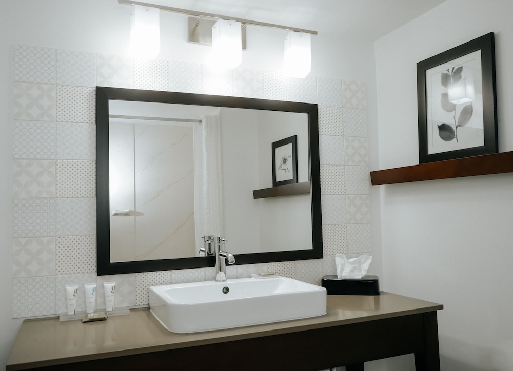 Suite, 1 Bedroom, Non Smoking photo 3
