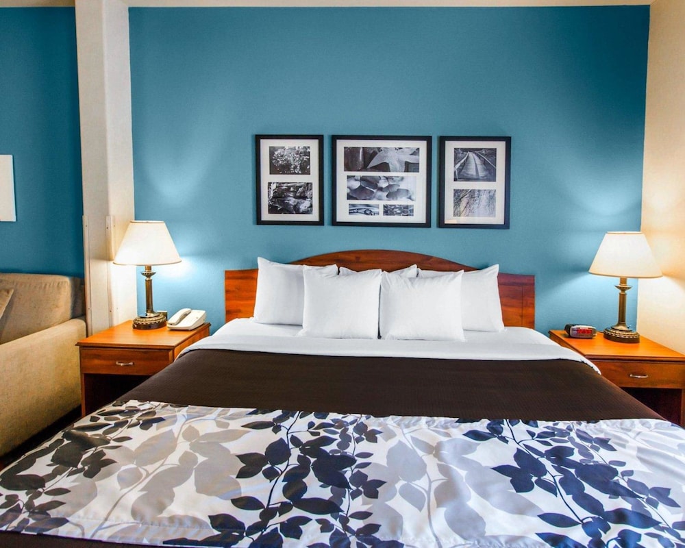Suite, 1 King Bed with Sofa bed, Accessible, Non Smoking photo 3