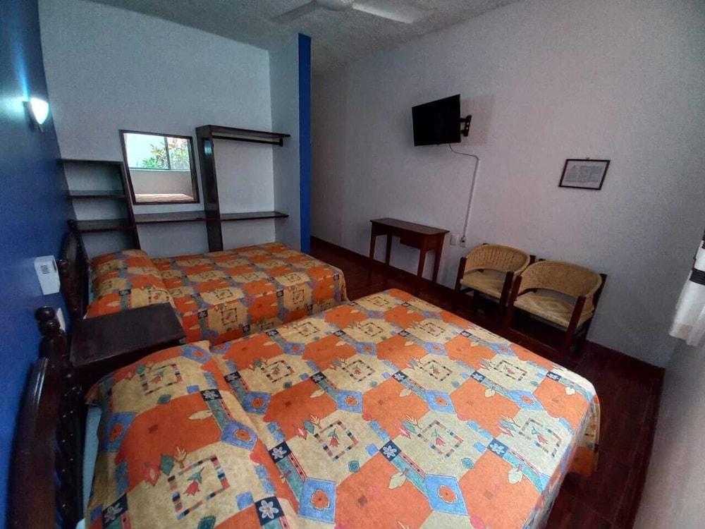 Basic Double Room photo 3