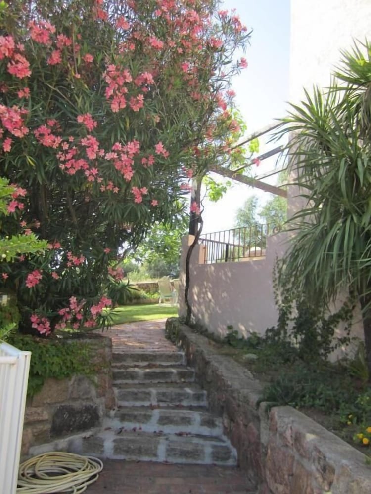 Duplex Apartment On The Ground Floor, Garden With Corsican Stone Walls, Terrace And Sea View photo 3