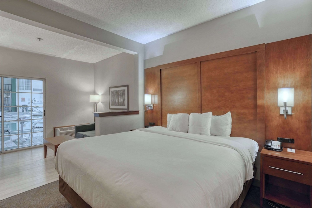 Suite, Non Smoking photo 1