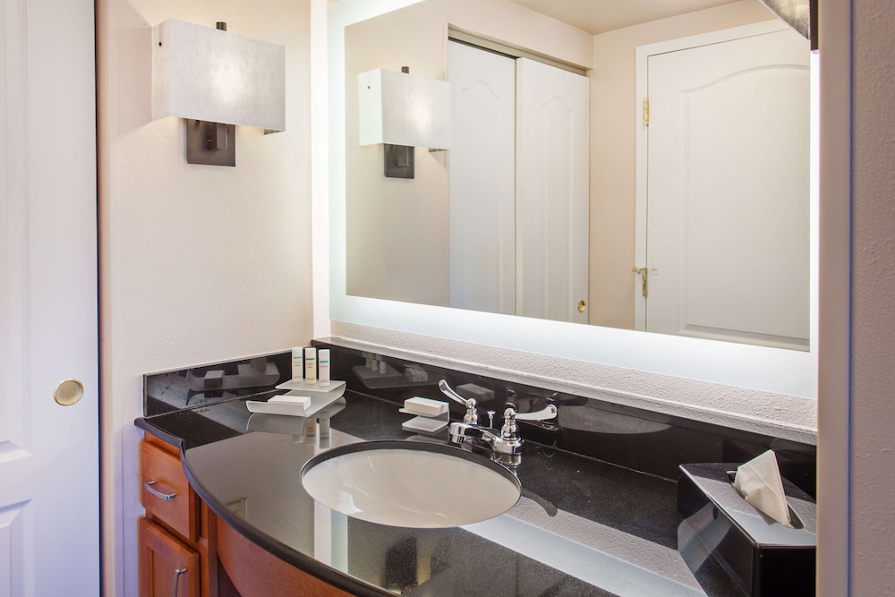 Suite, 1 King Bed, Accessible, Bathtub (Mobility & Hearing) - Photo 5