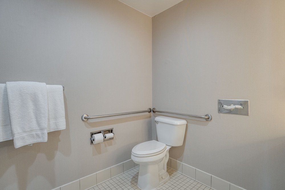 Deluxe Single Room, Accessible