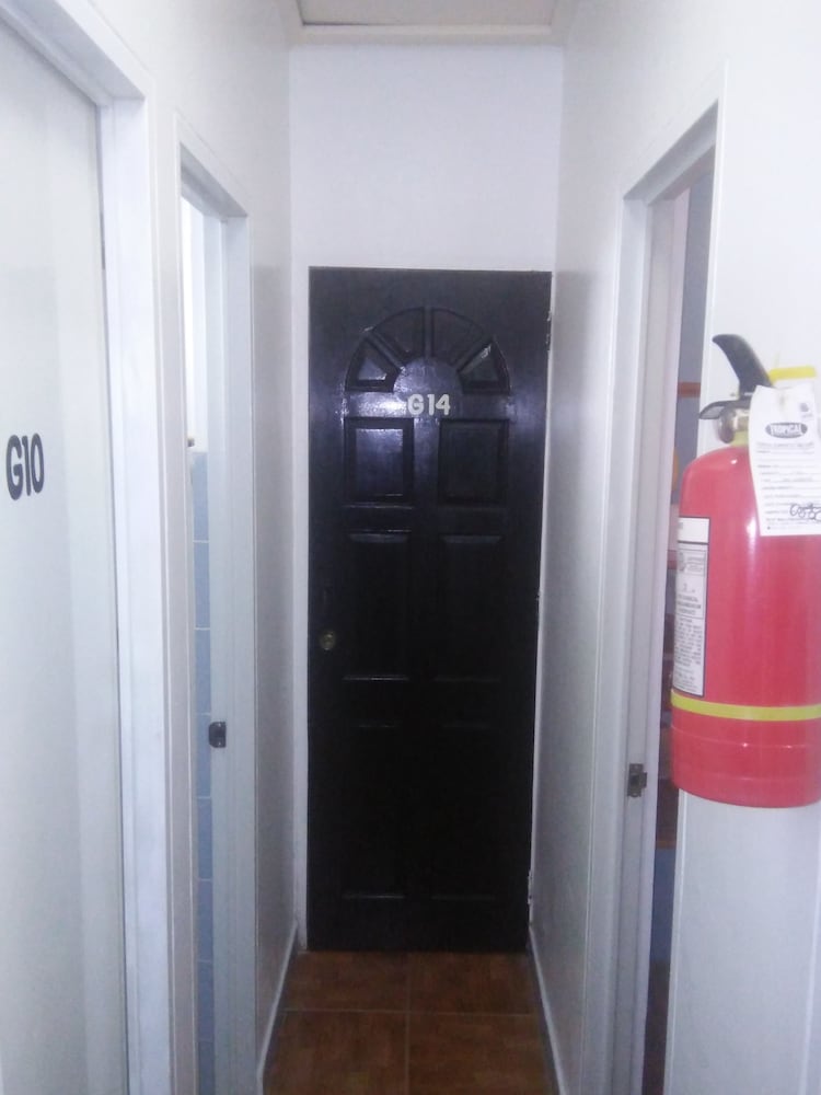 GF R12 Annex Double Bunk Bed Room photo 3