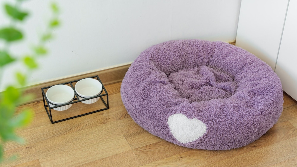 Basic Room, 1 Bedroom (Poodle 101) photo 3