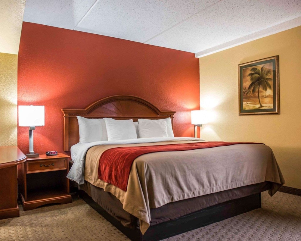 Room, 1 King Bed, Non Smoking - Photo 1