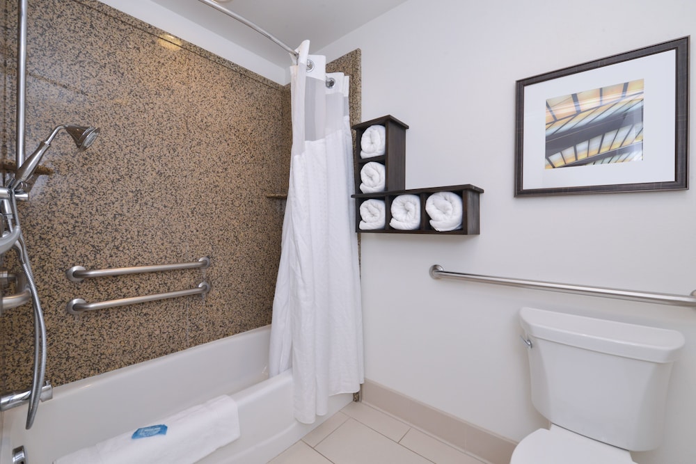 Suite, 1 King Bed, Accessible Bathtub (Mobility Tub) photo 2