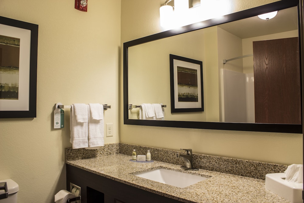 Suite, 1 King Bed with Sleeper Sofa, Non Smoking