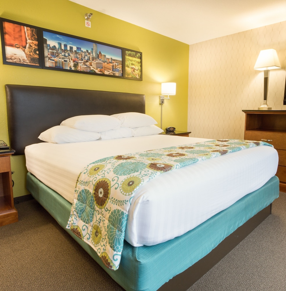 Deluxe Room, 1 King Bed, Mobility Accessible, Non Smoking (Hearing, Roll-in Shower) - Photo 2