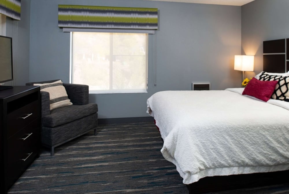 Room, 1 King Bed, Accessible, Bathtub - Photo 9