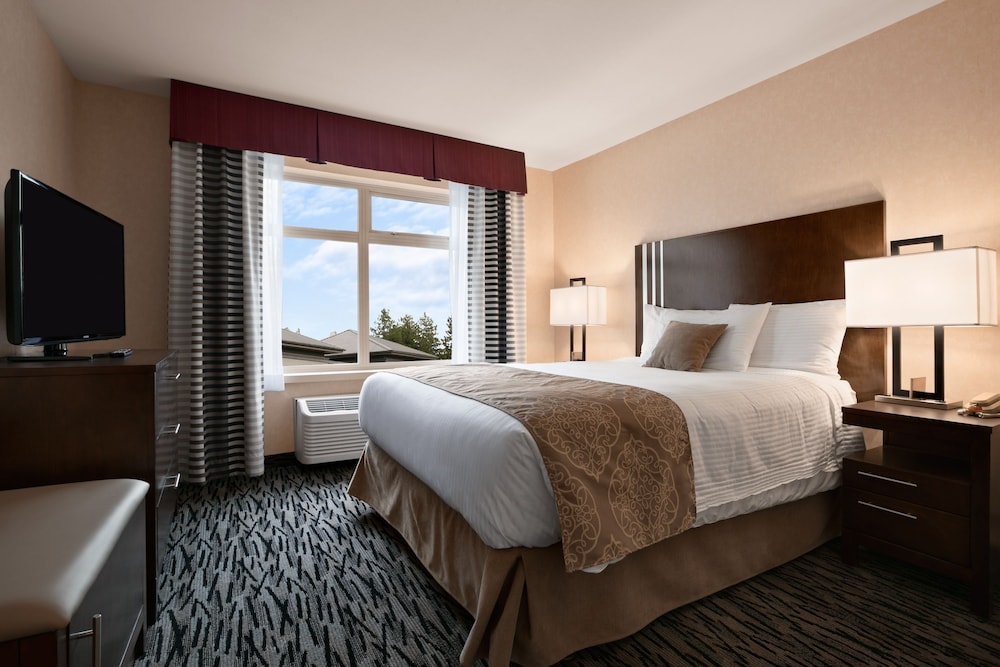 Standard Room, 1 King Bed, Non Smoking, Refrigerator & Microwave (with Sofabed) - Photo 1
