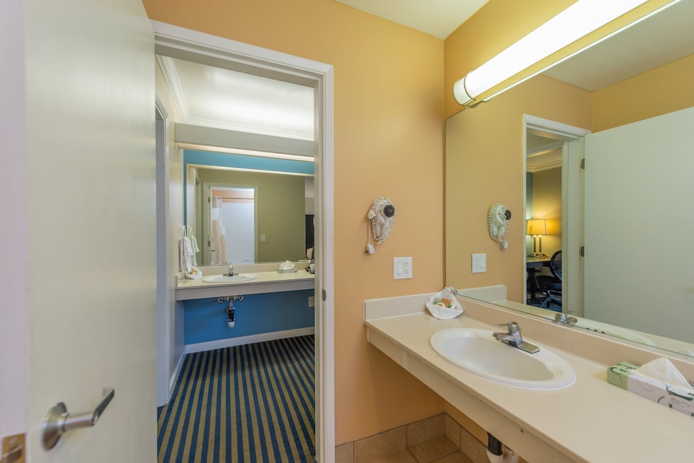 Deluxe Room - Photo 9