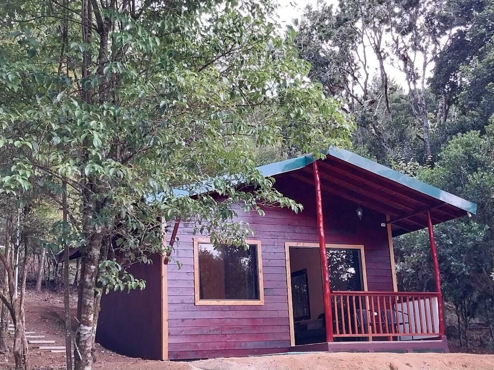 Deluxe Cabin photo 1