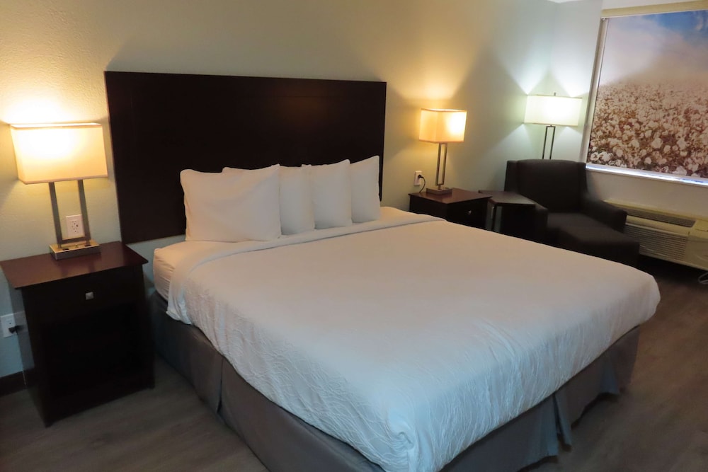 Standard Room, 1 King Bed, Non Smoking, Refrigerator & Microwave - Photo 1