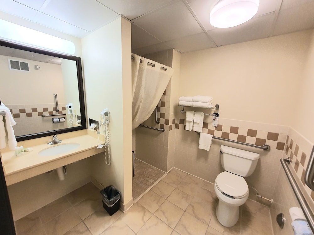 Elite Room, 1 King Bed, Jetted Tub, Fireplace, Accessible, Non-Smoking - Photo 3