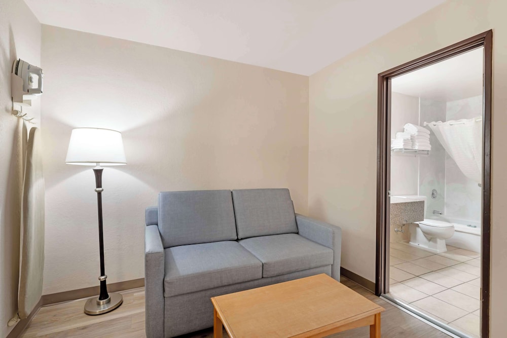 Standard Room, Multiple Beds, Non Smoking, Refrigerator & Microwave (Larger Room;with Sofabed) - Photo 3