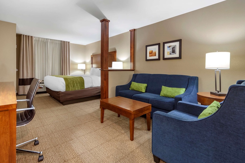 Suite, 1 King Bed with Sofa bed, Non Smoking (No Pets Allowed) photo 1