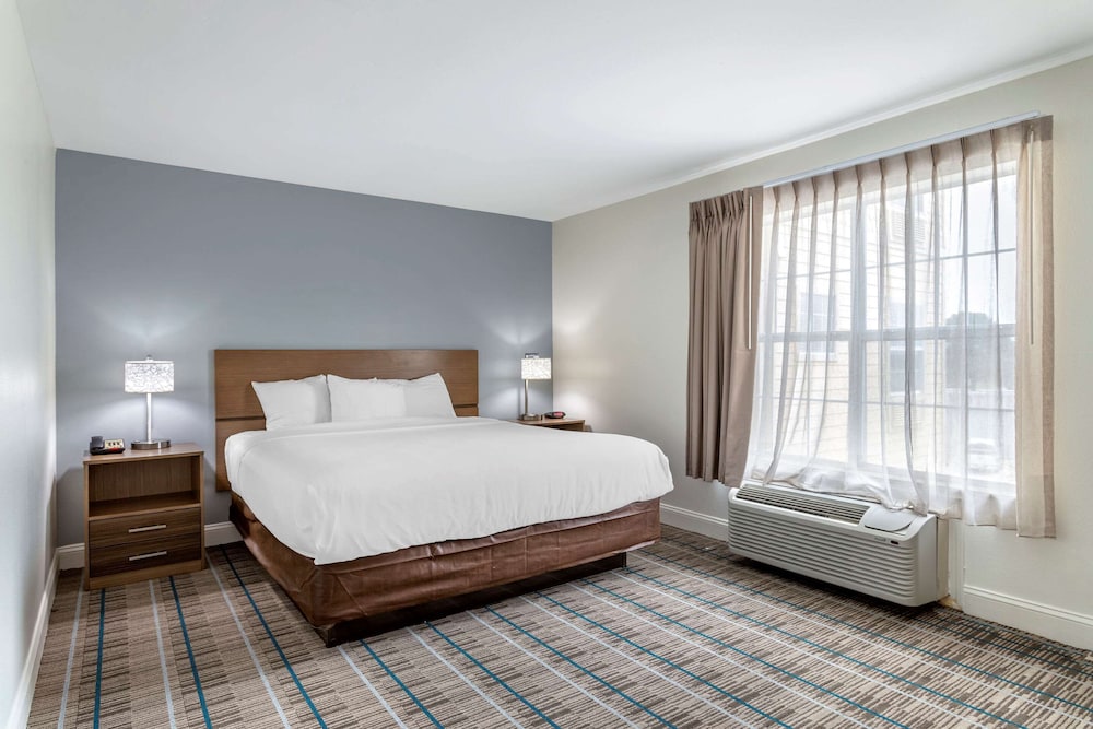 Suite, 1 King Bed with Sofa bed, Non Smoking (Efficiency) - Photo 1