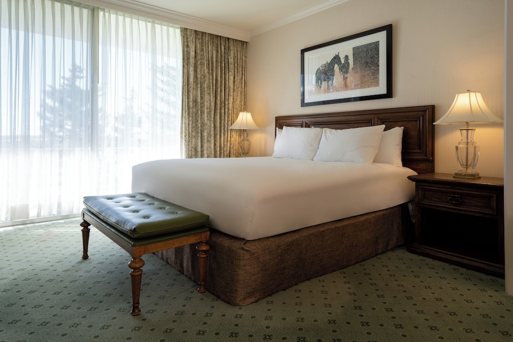 Deluxe Room, 1 King Bed photo 1