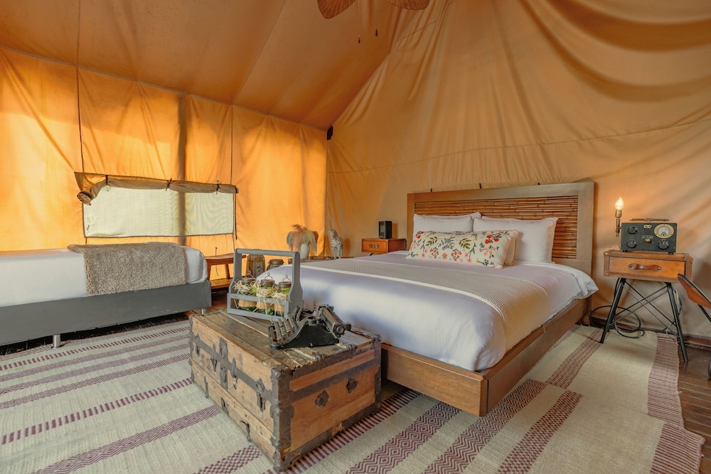 Safari Lux 2 - Photo 16