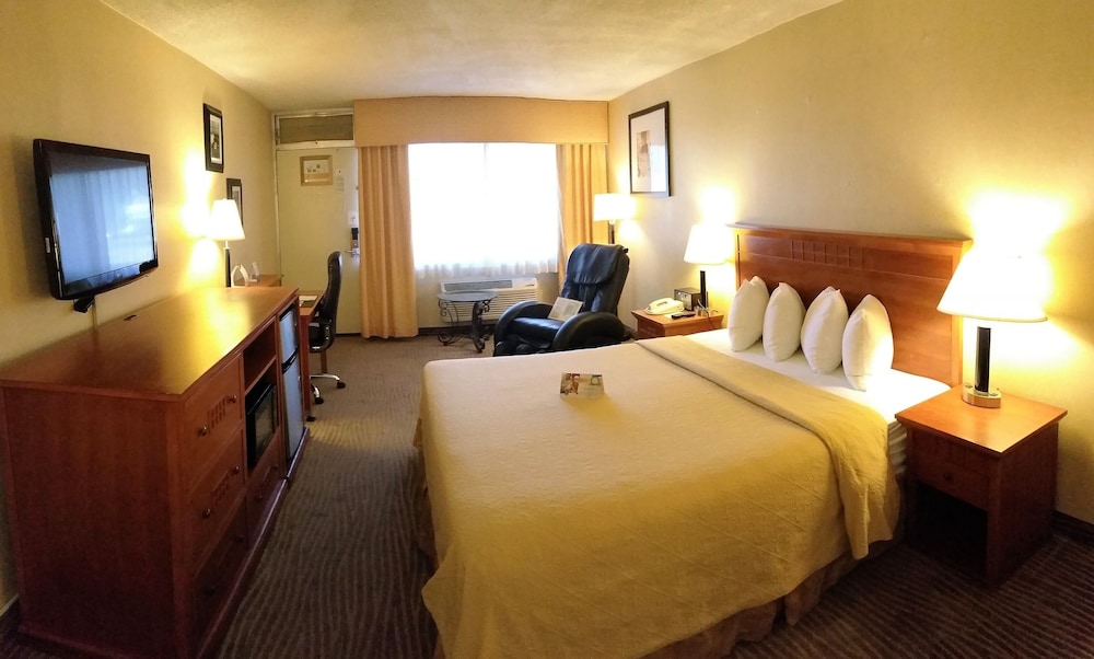 Executive Room, 1 King Bed, Non Smoking, Courtyard Area - Photo 2