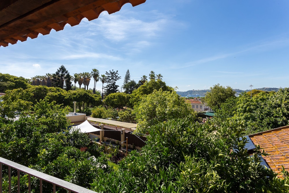 Panoramic Studio Suite photo 2