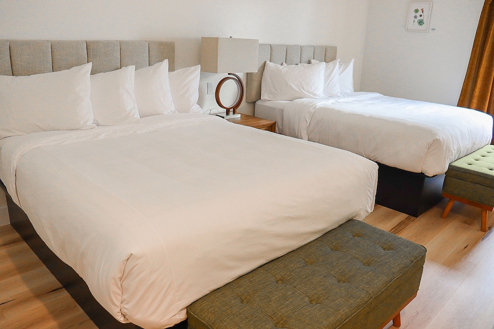 Wild Iris Room