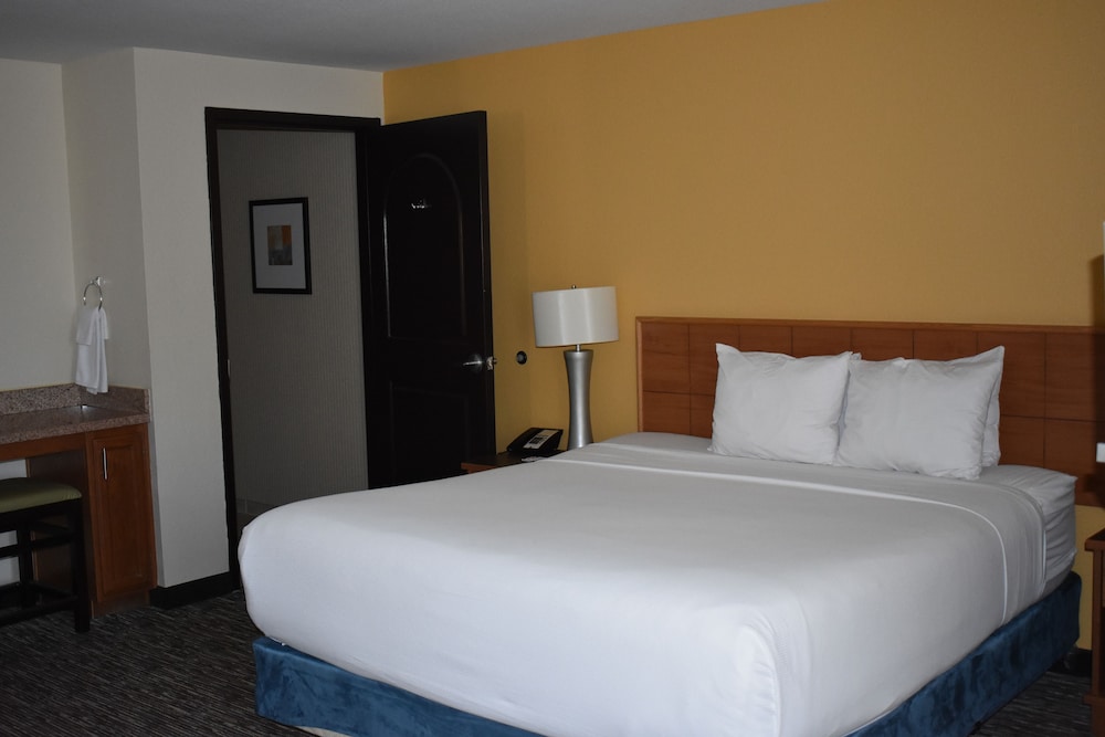 Standard Room, 1 Queen Bed, Non Smoking, Kitchen