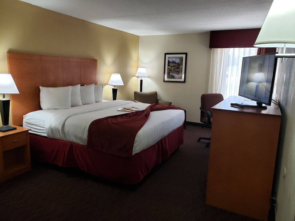 Business Single Room, 1 King Bed - Photo 1