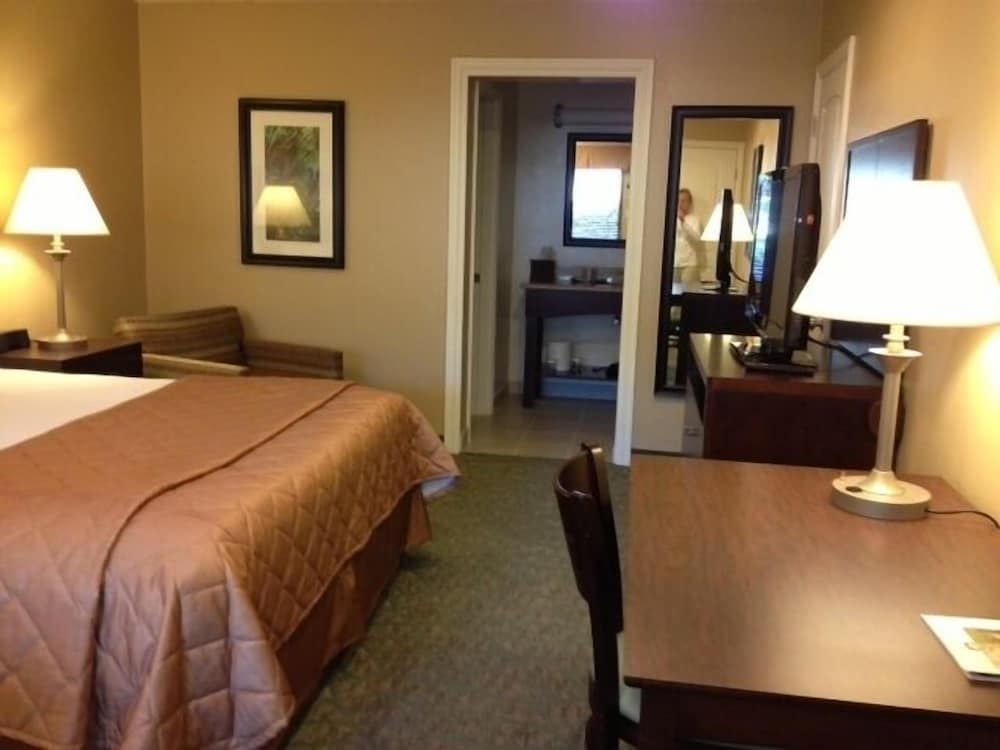 Inn: 1 King Bed photo 2