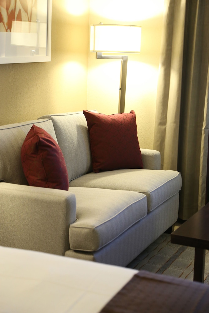 Standard Room, 1 King Bed, Accessible, Non Smoking (Communications) - Photo 3