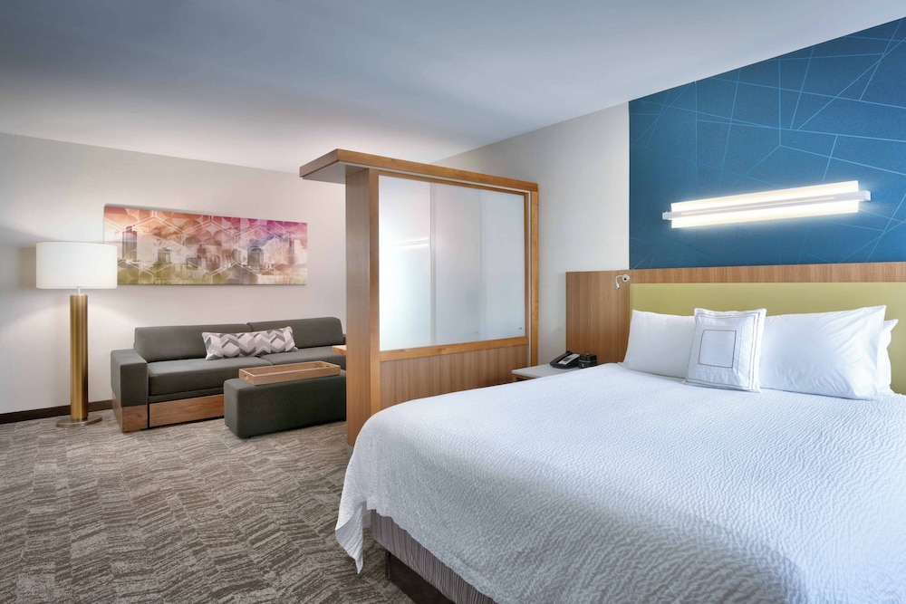 Suite, 1 King Bed with Sofa bed (Mobility/Hearing Access, Roll-in Shwr) - Photo 3