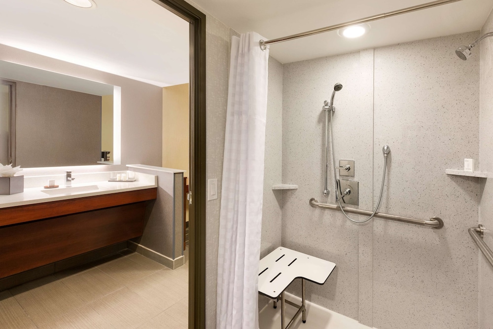 Premium Room, 1 King Bed, Accessible (Mobility & Hearing, Roll-in Shower) - Photo 3