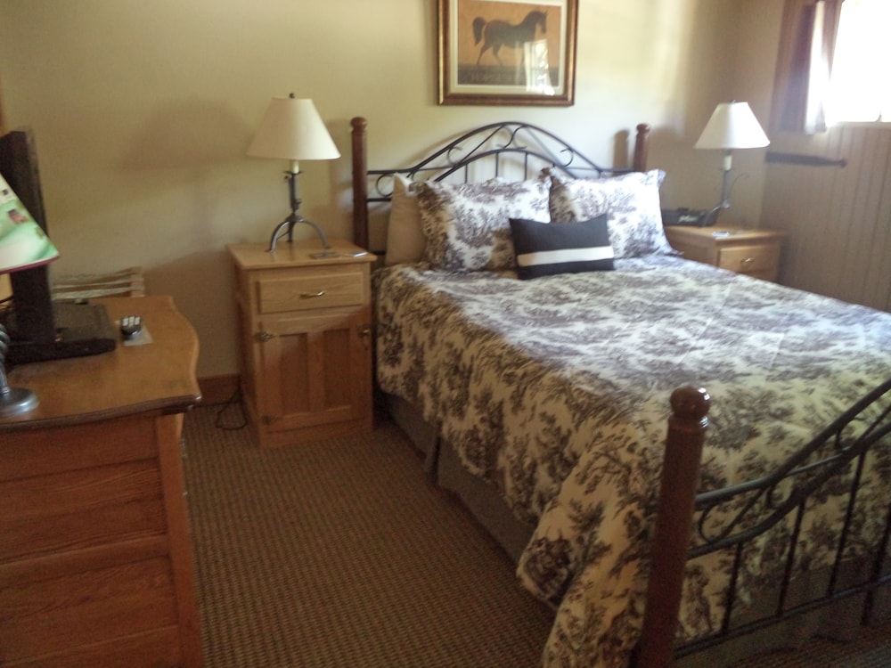 Standard Suite, 1 Queen Bed, Non Smoking, Fireplace (1st Floor) photo 1