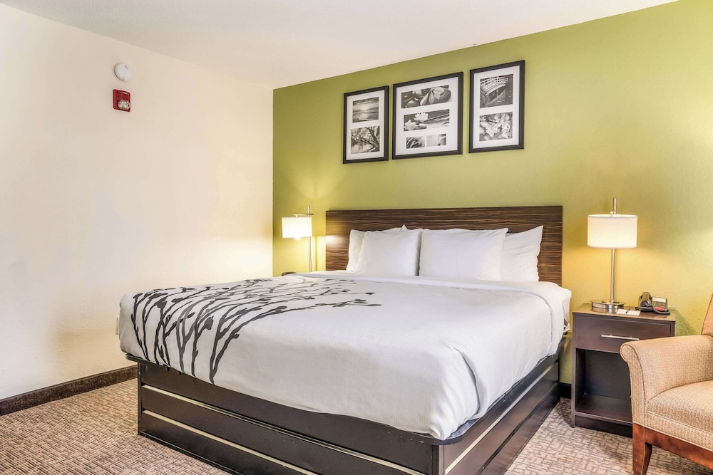 Standard Single Room, 1 King Bed - Photo 2