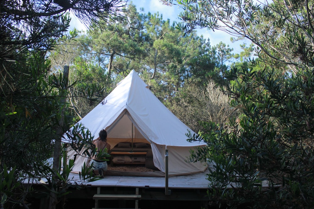 Tent photo 2