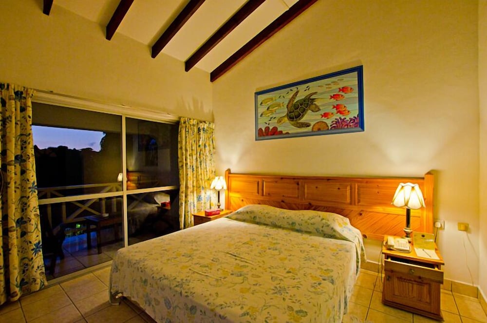 Deluxe Room photo 2
