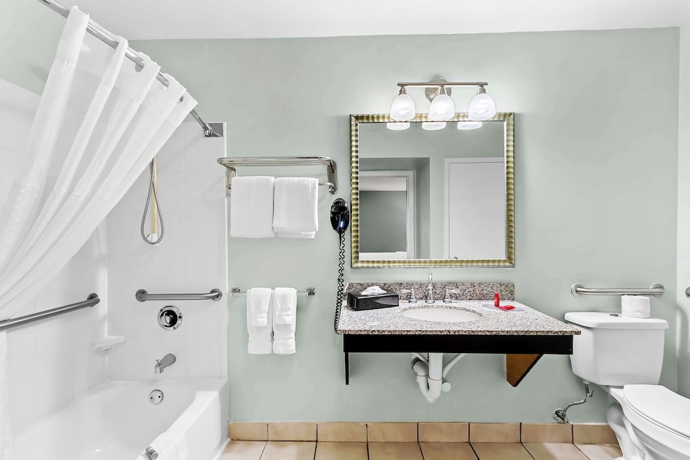 Suite, 1 King Bed, Accessible, Non Smoking (with Sofabed, Full Kitchen) - Photo 4