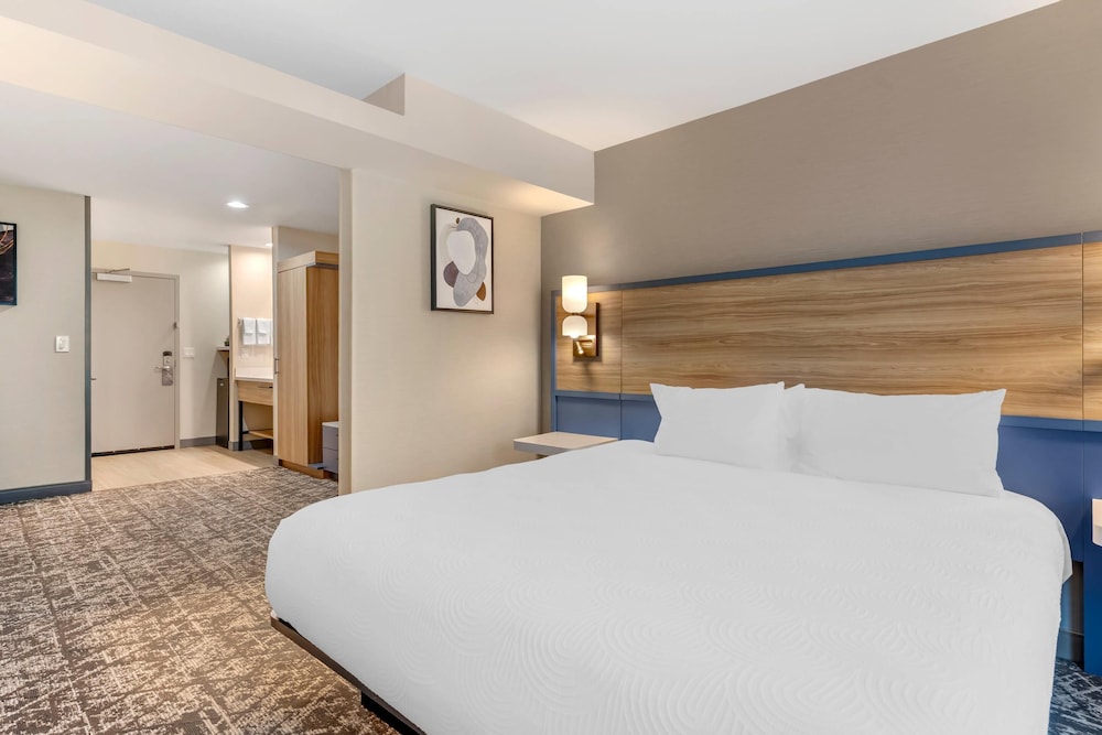 Suite, 1 King Bed with Sofa bed, Non Smoking photo 3