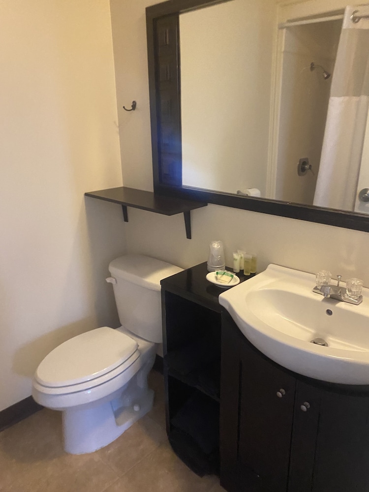 Standard Single Room, 1 King Bed photo 2