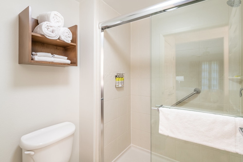 Suite, 1 Bedroom, Kitchen - Photo 6