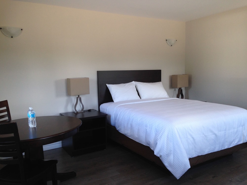 Room, 1 Queen Bed photo 1