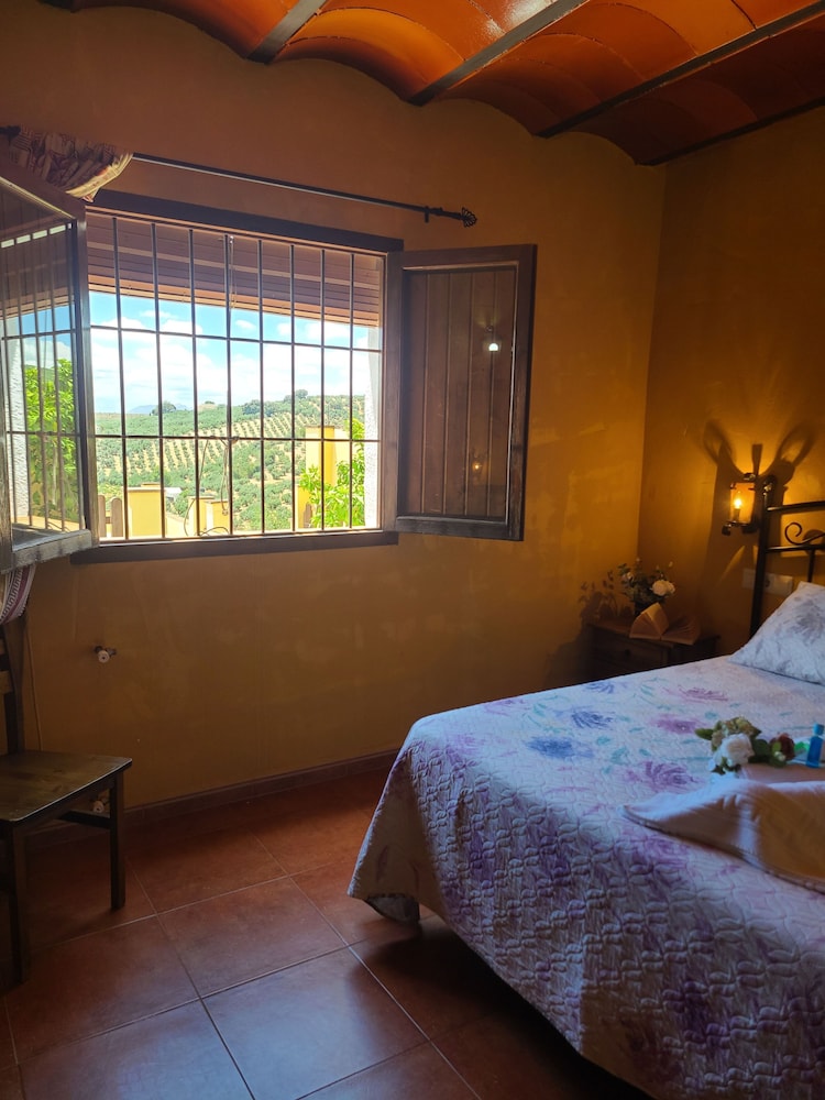 Casa Vacanze Calda con Piscina Privata nel Centro dell'Andalusia, Foto 48