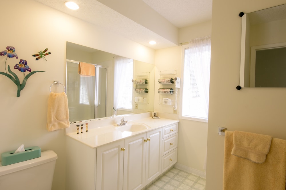 Executive Room, Mountain View photo 2