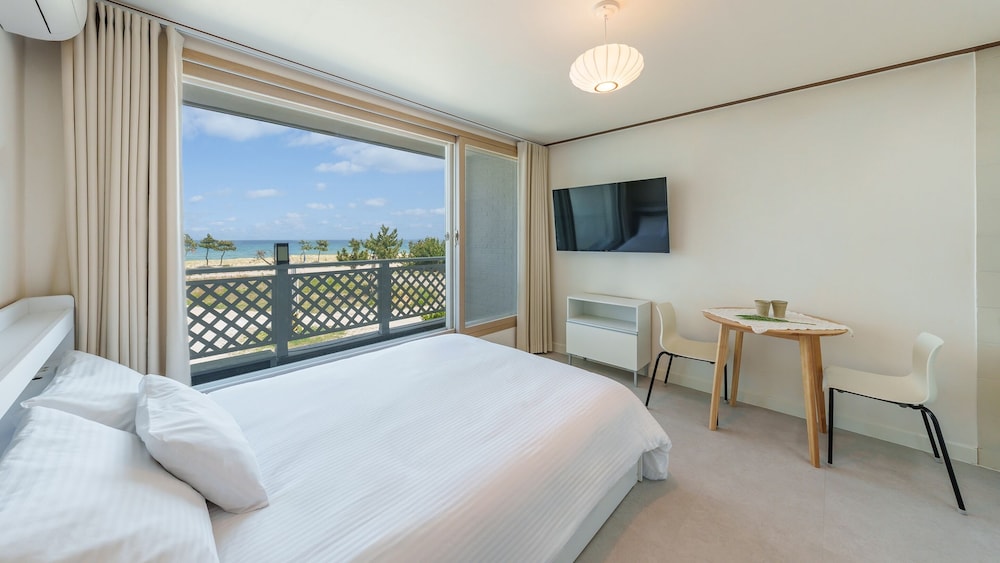 Basic Room, 1 Bedroom (202 (Ocean View / DOGS ONLY))