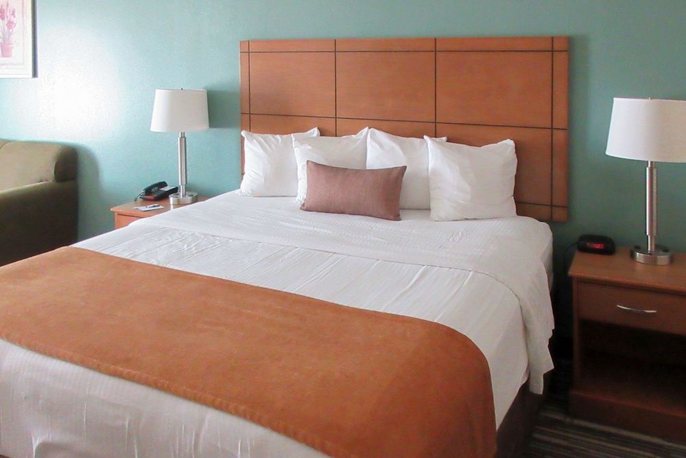 Standard Room, 1 King Bed, Non Smoking